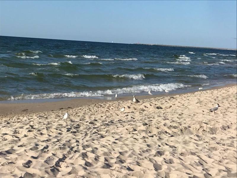 Leilighet Idylla Polanki Kołobrzeg